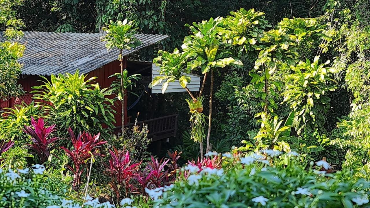Hotel Wooden Hut Koh Kood à Ko Kut Extérieur photo
